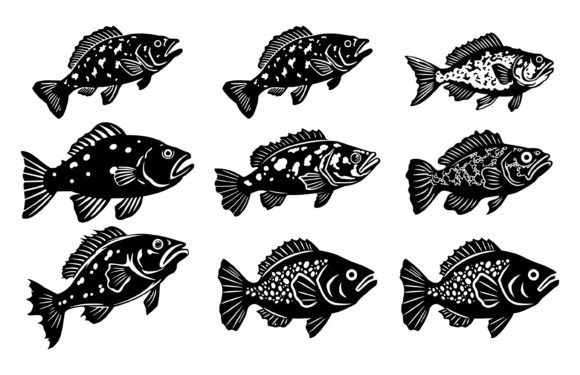 Grouper Fish Vector Bundle: Fresh Design Assets for Creators