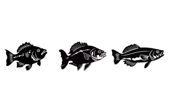 Perch Fish Icon Illustration: A Freshwater Design Asset